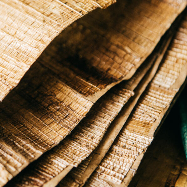 Banana Stalk Wallpaper by Red Palm Ventures